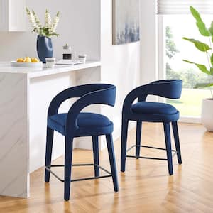 Pinnacle 24.5 in. in Midnight Black Rubber Wood Performance Velvet Counter Stool Set of 2