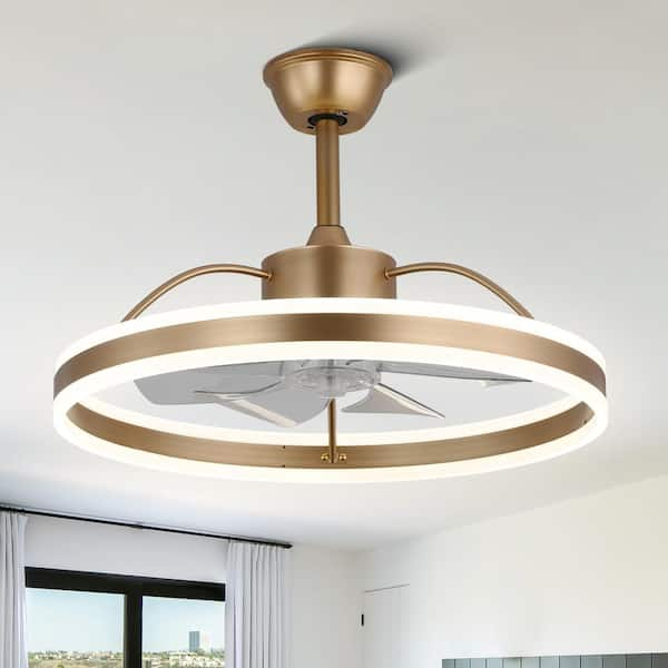 Oaks Aura Cotti 24 in. Indoor Gold Modern Smart Ceiling Fan with Lights ...