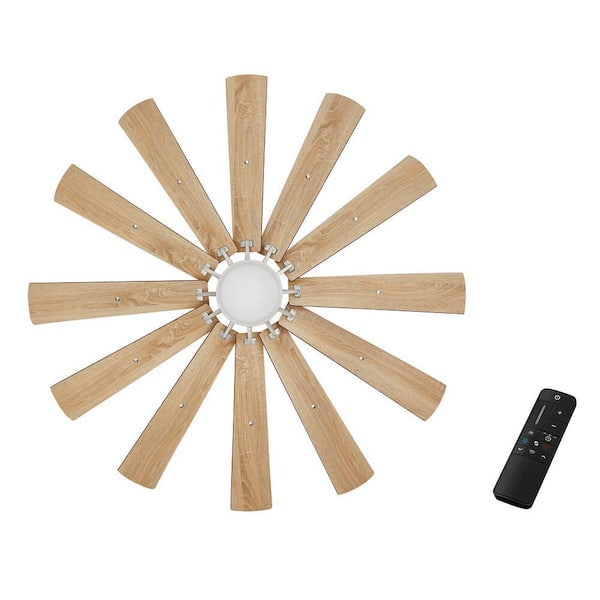 Home Decorators Collection Trudeau 60 in. LED Indoor Brushed