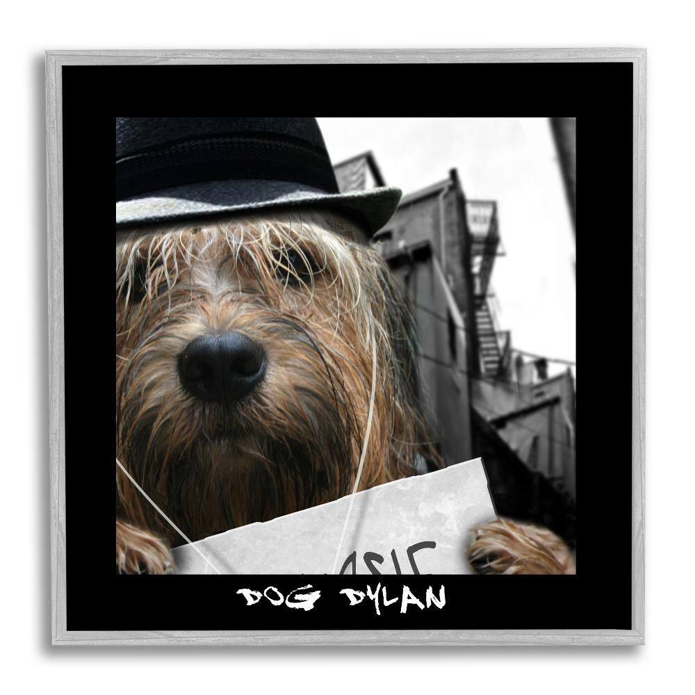 Dog Dylan Funny Musician Wearing Hat Cityscape by Noah Bay 1-Piece Gray Framed Animal Giclee Art Print 12 in. x 12 in. price history on PriceWatchPro