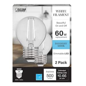 60-Watt Equivalent G16.5 Globe Dimmable White Filament Clear Glass E26 LED Vintage Edison LIght Bulb, Daylight (2-Pack)