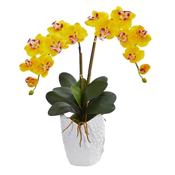 Nearly Natural Double Phalaenopsis Orchid Artificial Arrangement in White Ceramic Vase