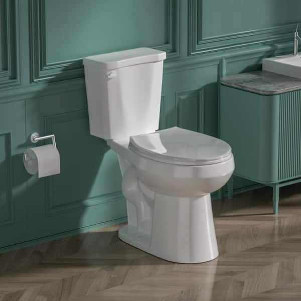 17 in. Tall ADA Toilet (2-Piece) Toilet 1.28 GPF Single Flush Round Toilet in White with Soft-Close Seat Included