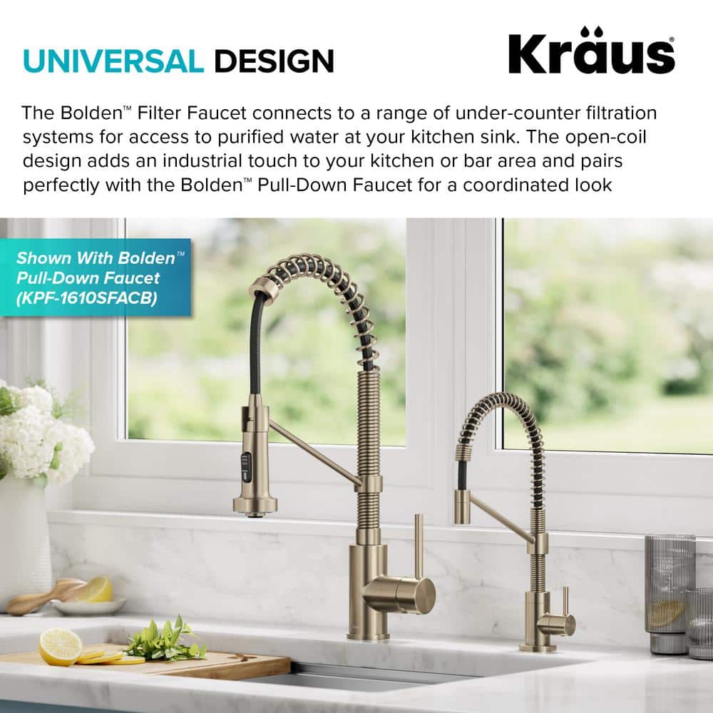 Bolden Antique Bronze Single Handle Filter Faucet with Pull-out Spray