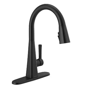 Lenta Single-Handle Pull-Down Sprayer Kitchen Faucet with ShieldSpray Technology in Matte Black
