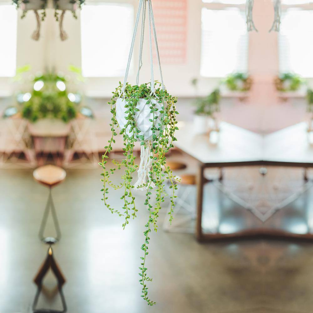 White Ceramic Macrame Hanging Planter with Faux Green Succulent
