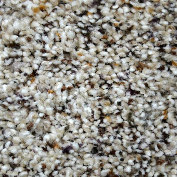 Lifeproof Carpet Sample - Lavish Image II - Color Oakhill Texture 8 in. x 8 in.