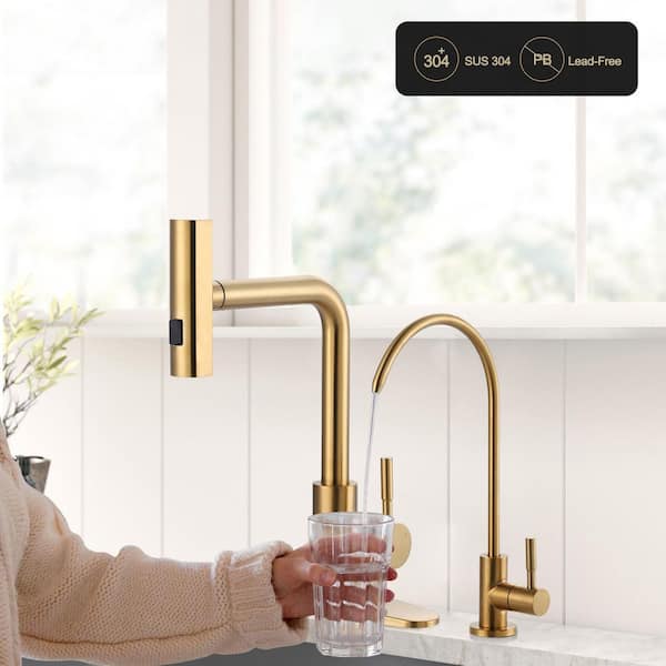 Gold 15.7 in. Single Handle Pull Down Sprayer Kitchen Faucet with Drinking Water Faucet and 360° Swivel