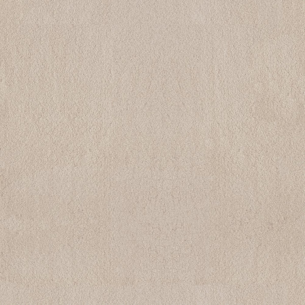 Dreamy Daze II Sonata Beige 66 oz. Nylon Texture Installed Carpet
