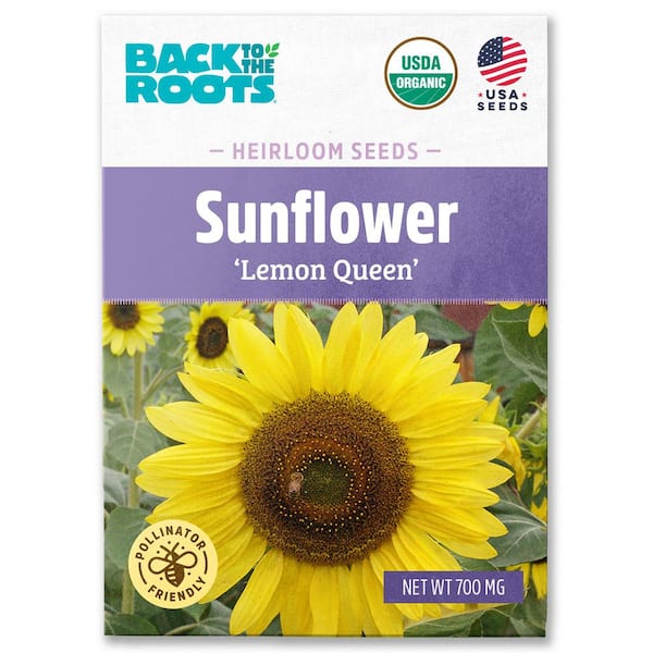 Back to the Roots Organic Lemon Queen Sunflower Seed (1-Pack