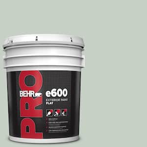 5 gal. #N400-2 Frosted Sage Flat Paint