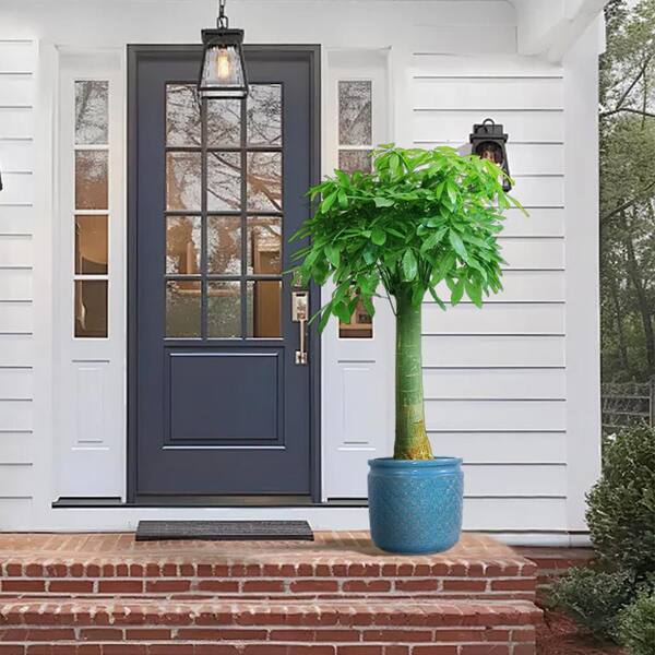 3-Piece 14.96 in. W x 14.96 in. D x 14.96 in. H Antique Blue