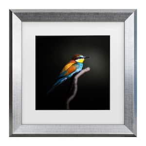 Fegari Colorful Darkly Matted Framed Photography Wall Art 19.5 in. x 19.5 in