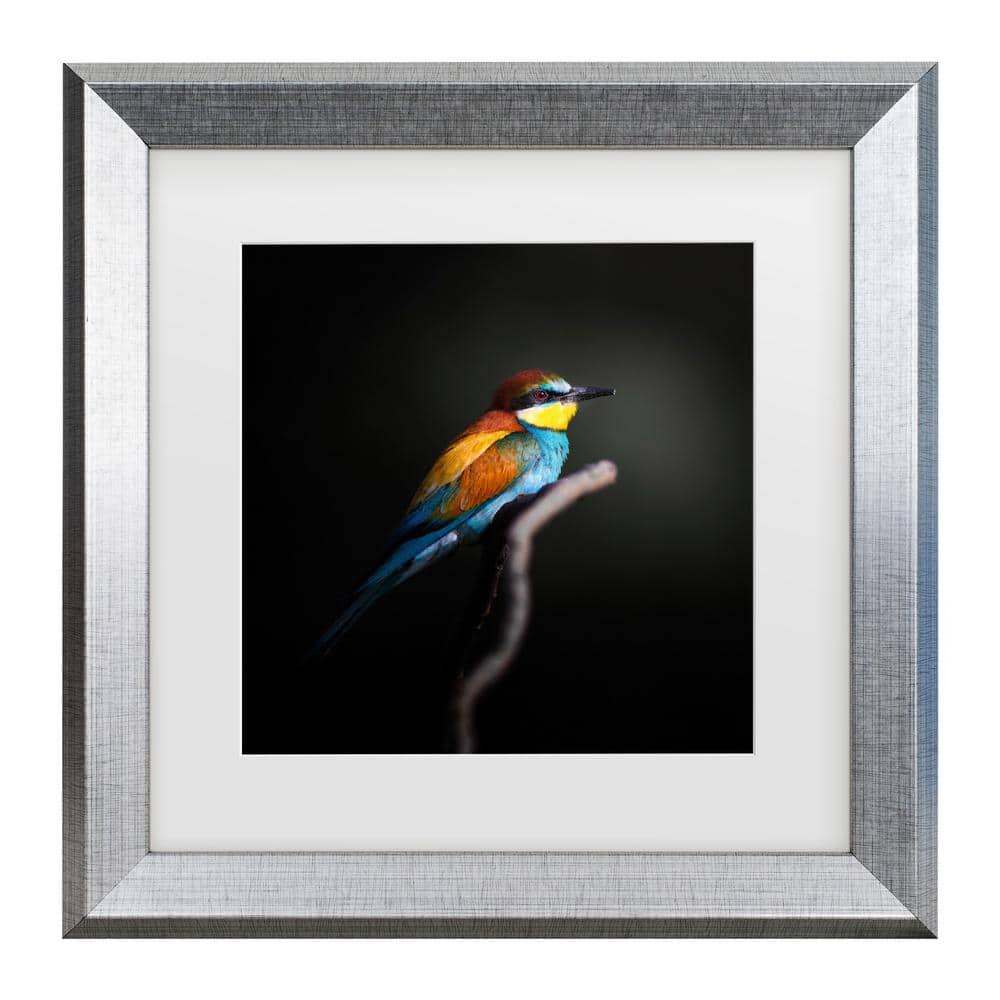 Fegari Colorful Darkly Matted Framed Photography Wall Art 14.5 in. x 14.5 in price history on PriceWatchPro