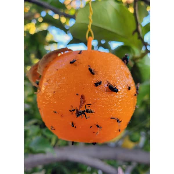 Sticky Insect Ball Fly Trap Mosquito Wasp Flying Insect Catching