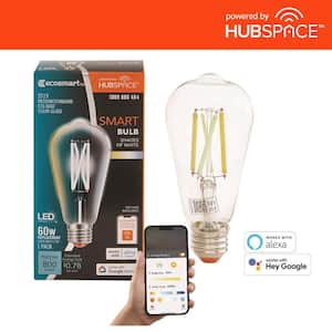 60-Watt Equivalent Smart ST19 Clear Tunable White CEC LED Light Bulb with Voice Control (1-Bulb) Powered by Hubspace