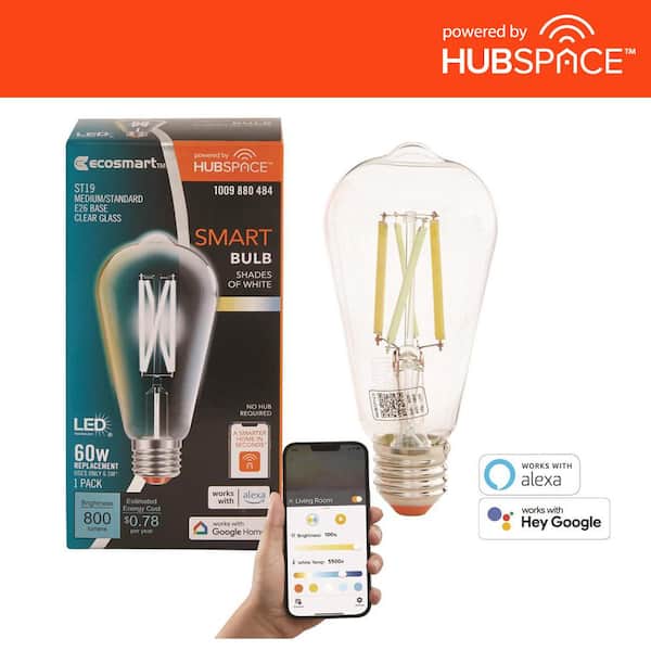 EcoSmart 60-Watt Equivalent Smart ST19 Clear Tunable White CEC LED Light Bulb with Voice Control (1-Bulb) Powered by Hubspace