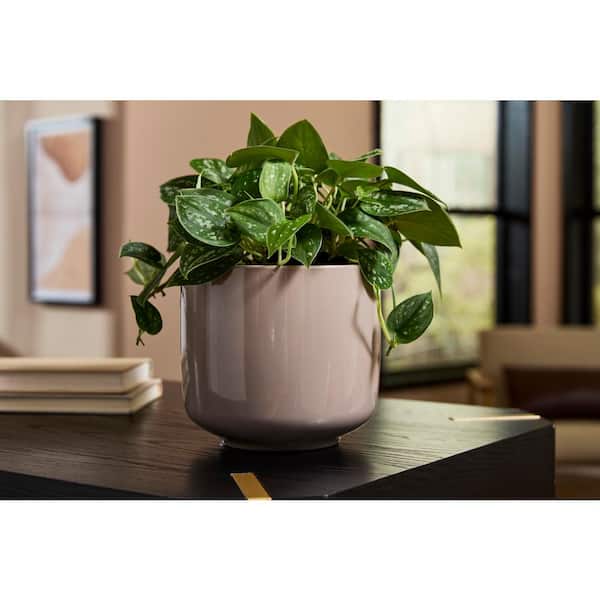 7.5 in. x 7.5 in. D x 6.7 in. H Kingsburg Small Gray Glossy Ceramic Pot