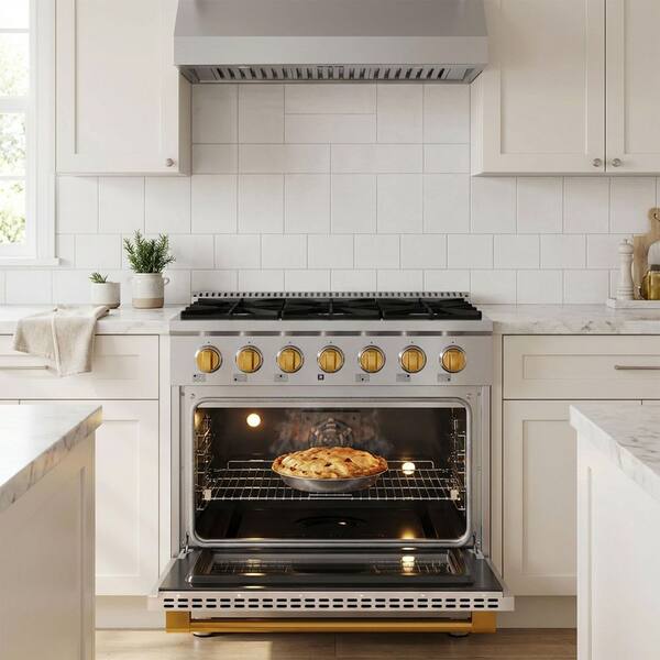 JANSKA Professional 36 in. Freestanding Dual Fuel Range, 6-Burners