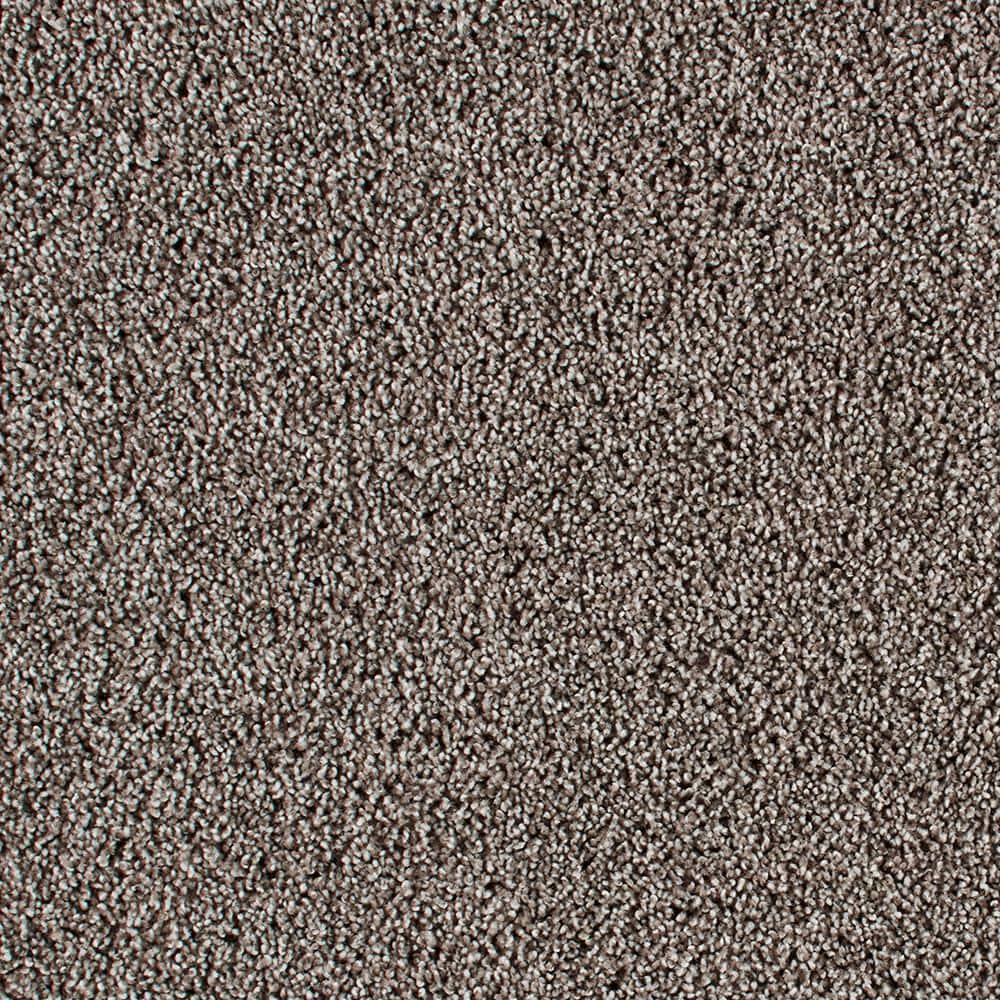 8 in. x 8 in. Texture Carpet Sample - Huntcliff I -Color Mystic price history on PriceWatchPro