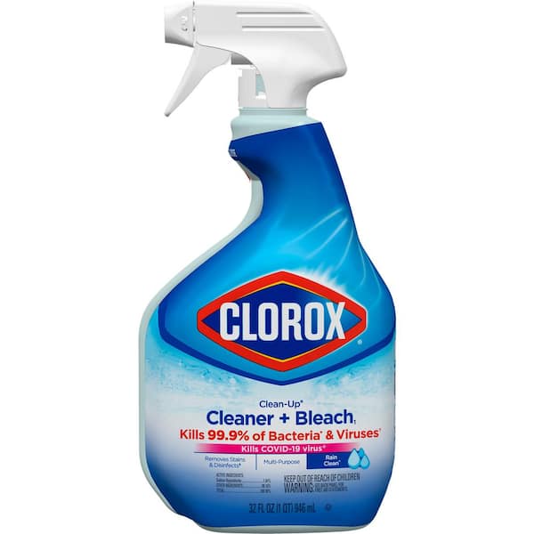 Shame on you Clorox: Bleach Doesn't Belong in our Homes