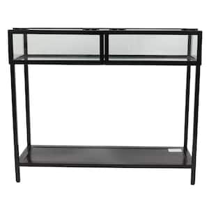 36 in. Black/Clear Standard Rectangle Glass Console Table with Storage