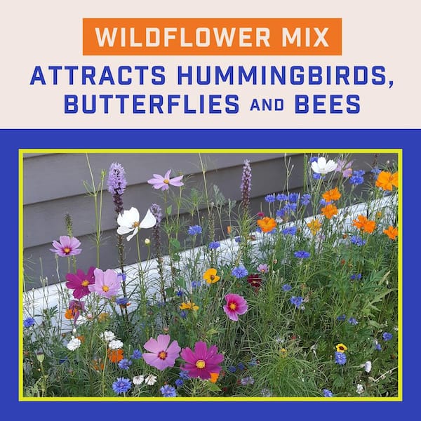 Pennington 2 lb. Wildflower Butterfly/Hummingbird Mix