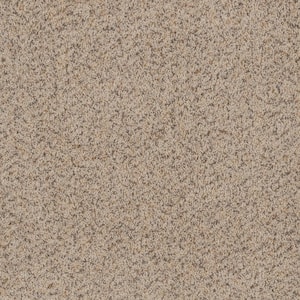 Dream Wish - Desire - Beige 32 oz. SD Polyester Texture Installed Carpet