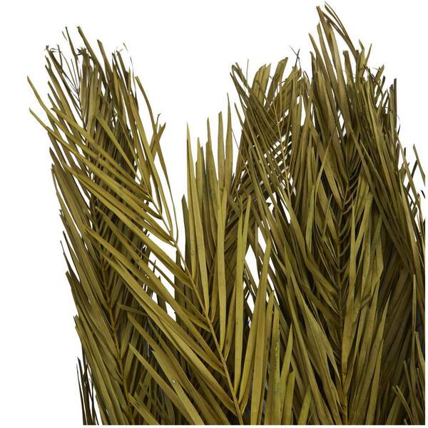 Litton Lane 43 in. Palm Leaf Natural Foliage with Feather Inspired