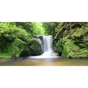 Waterfall View - Weather Proof Scene for Window Wells or Wall Mural - 80 in. x 40 in.