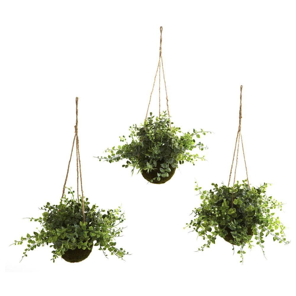Nearly Natural Eucalyptus Maiden Hair And Berry Hanging Basket Set Of 3 6741 S3 The Home Depot