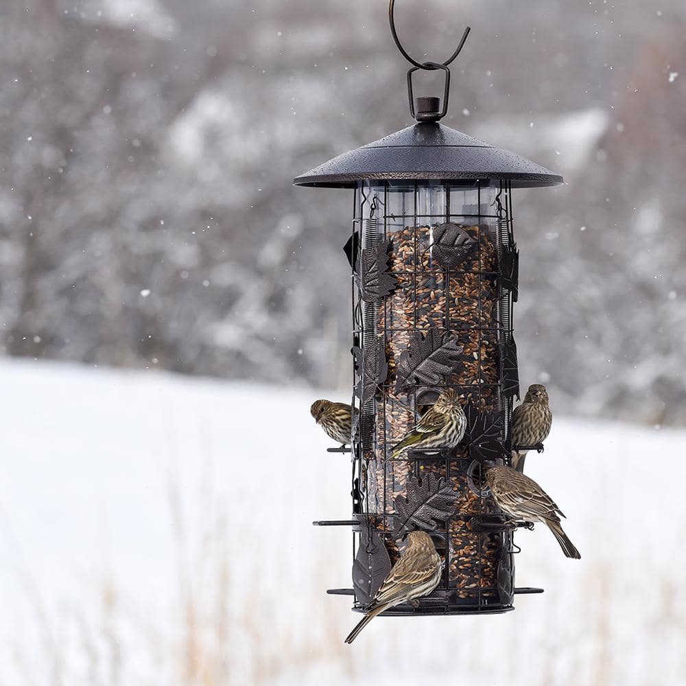 Black Metal Squirrel Resistant Hanging Tube Bird Feeder