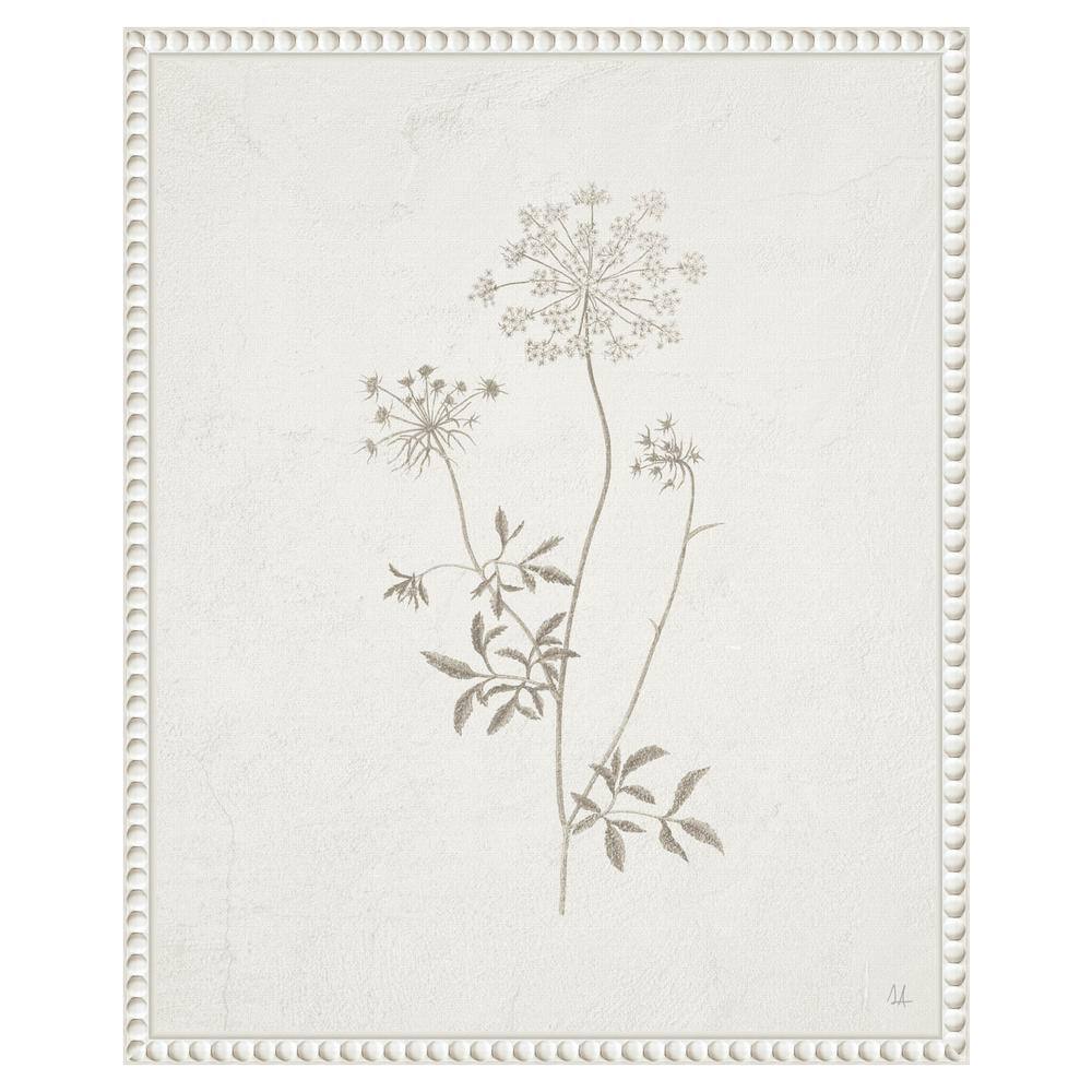 Beaded Perimeter Botanical Canvas Print in White Frame, 16 x 20-in.