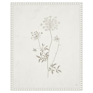 Plants from the Meadow III by Sarah Adams 1-Piece Floater Frame Giclee Home Canvas Art Print 20 in. x 16 in .