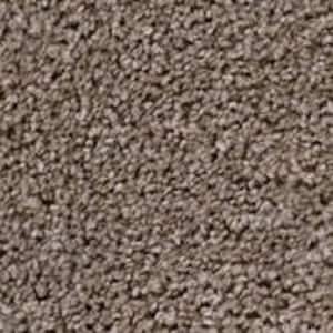 Founder - Color Builder Indoor Texture Brown Carpet
