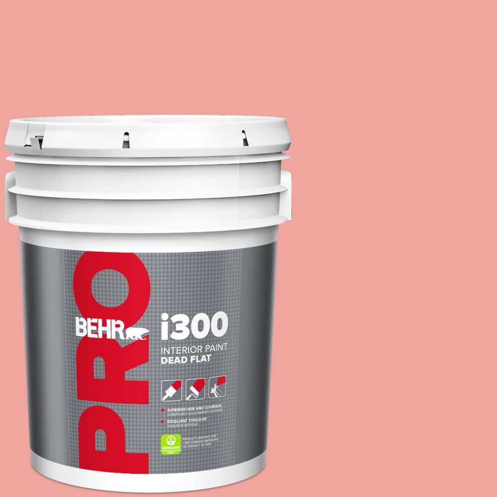 5 gal. #160B-4 Modestly Peach Dead Flat Interior Paint price history on PriceWatchPro