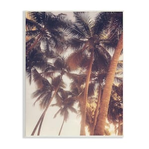 Sun Bleached Palm Tree Tops Vintage Summer Sky By Acosta Unframed Print Nature Wall Art 13 in. x 19 in.