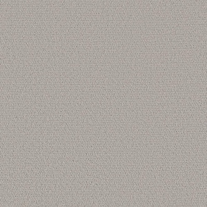 Night Owl - Cadmium-Gray 12 ft. 42 oz. SD Polyester Pattern Intalled Carpet
