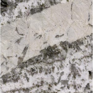 3 in. x 3 in. Granite Countertop Sample in Adonis White