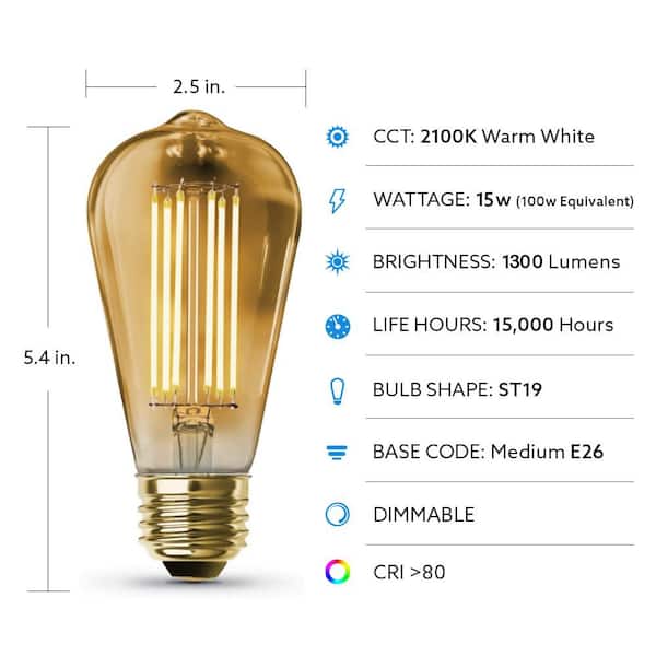 binnenkort Rechtmatig ledematen Feit Electric 100-Watt Equivalent ST19 Dimmable Straight Filament Amber  Glass Vintage Edison LED Light Bulb, Warm White-ST19100/LED/HDRP - The Home  Depot