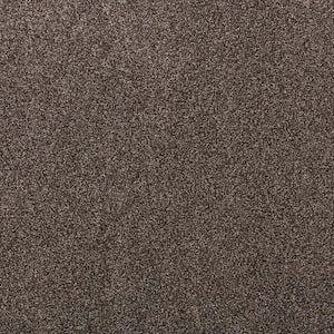 Plush Dreams I Velvet Brown 39 oz Triexta PET Textured Installed Carpet