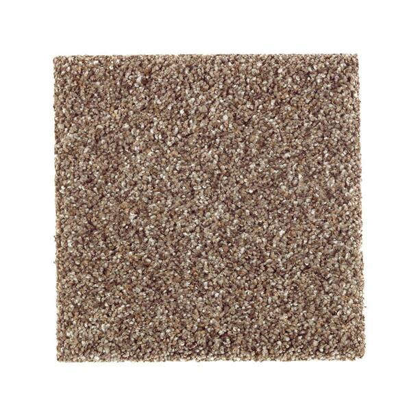 TrafficMaster Carpet Sample - Sachet I - Color Embraceable Texture 8 in. x 8 in.