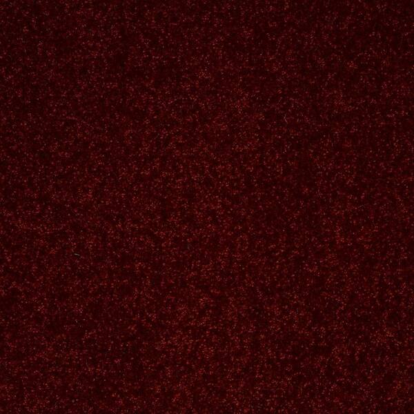 Home Decorators Collection 8 in. x 8 in. Texture Carpet Sample - Full Bloom II - Color Salsa Dance