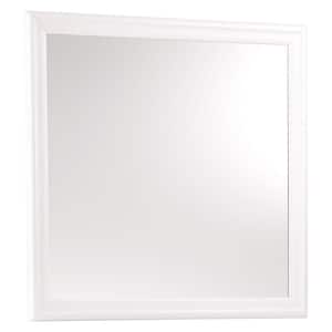 24 in. W x 39 in. H Wooden Frame White Wall Mirror