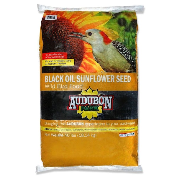 home depot sunflower bird seed