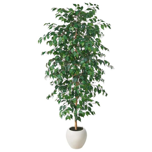 6.5 ft. Artificial Ficus Tree with White Planter with Natural Wood Trunk for Outdoor Home Decor and Housewarming Gift