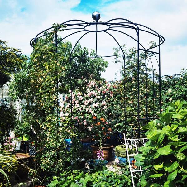 SABON　AROMATIC GARDEN Aromatic Delights - Gifts