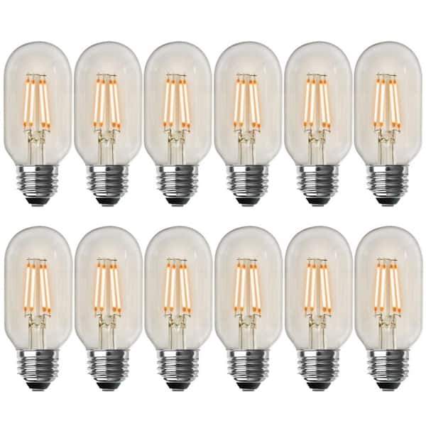 40-Watt Equivalent T14 Dimmable Straight Filament Clear Glass E26 Vintage Edison LED Light Bulb, Warm White (12-Pack)