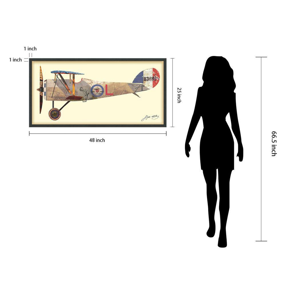 Empire Art Direct Antique Biplane #1 Dimensional Collage Framed Graphic Art Under Glass Wall Art, 25" x 48" x 1.4", Ready to Hang