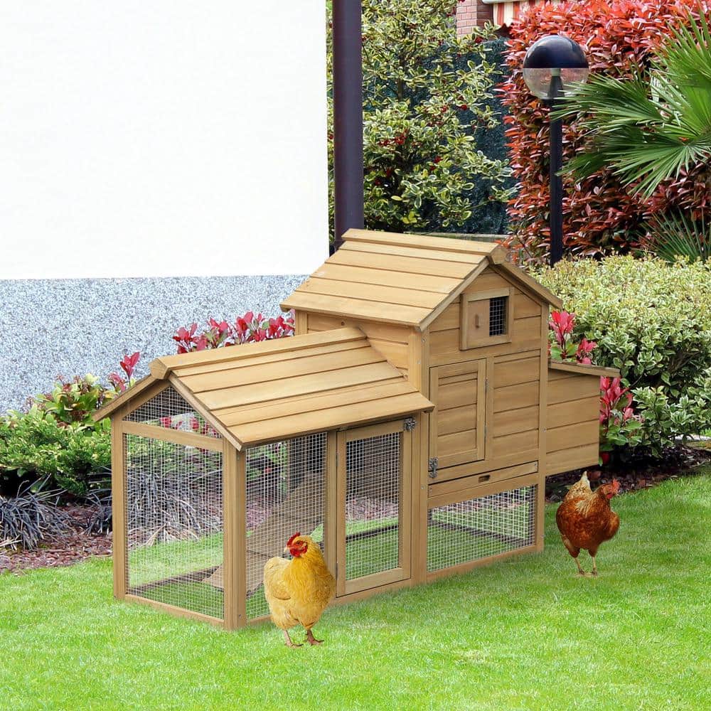 Small Natural Wood Outdoor Chicken Coop with Nesting Box